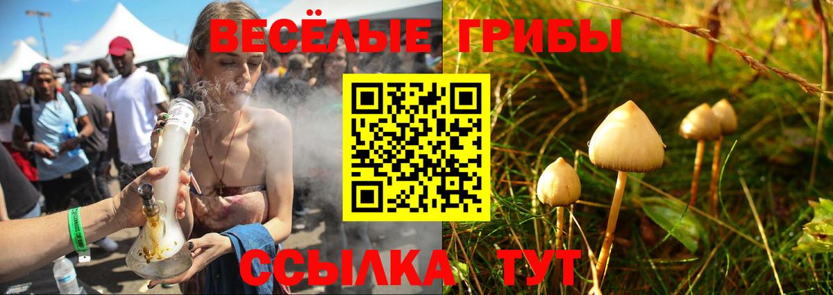 Галлюциногенные грибы GOLDEN TEACHER Протвино