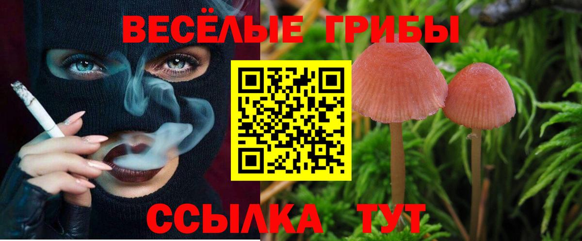Протвино  Псилоцибиновые грибы мухоморы  Вход с VPN 